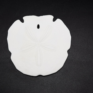 May include: A white sand dollar with a five-pointed star design in the center.