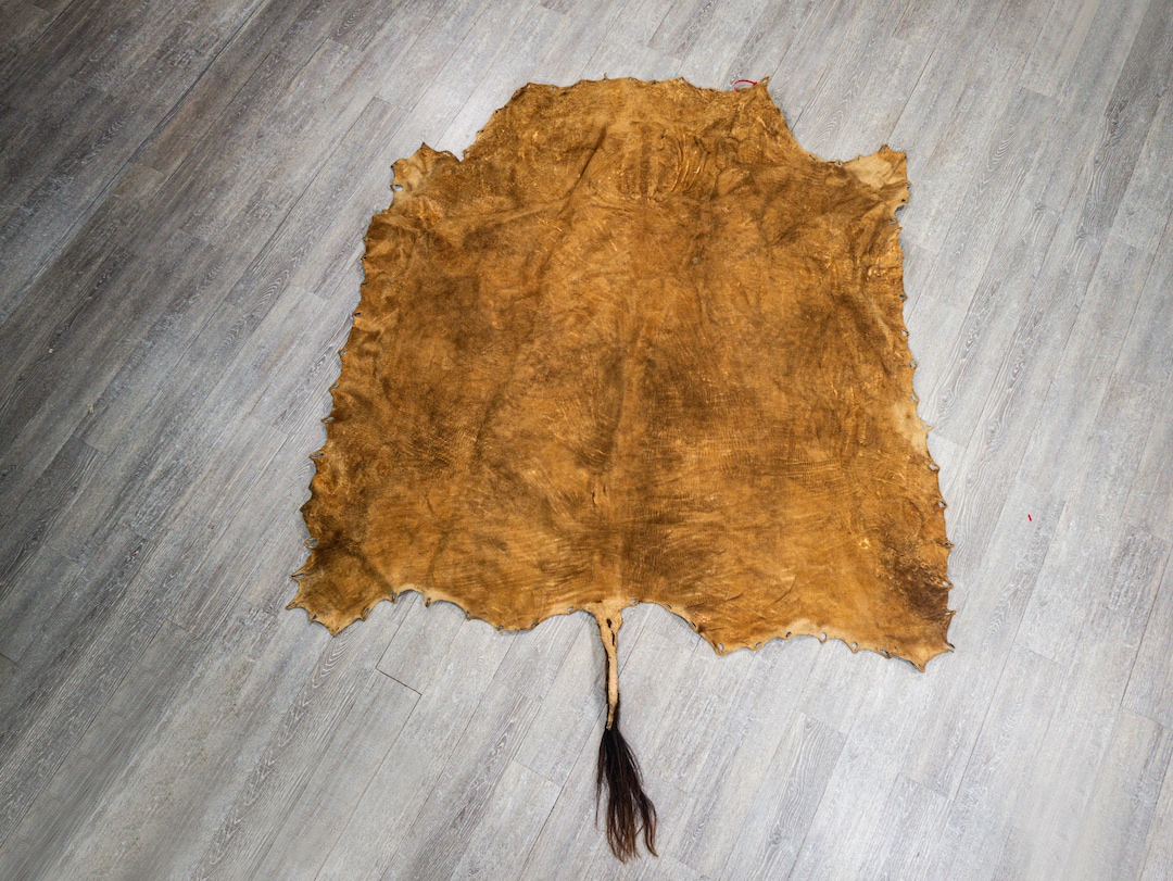 Real Braintanned Buffalo Leather Hide With Tail 250G5019 Etsy
