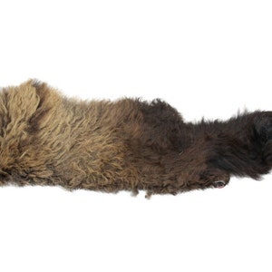 May include: A brown and black animal hide rug with long, shaggy fur.