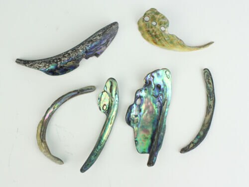Abalone Shell Rim Paua Abalone Shell Rims Satin: Large 1/4 Lb (565Z-TPSRL-AS) - Etsy