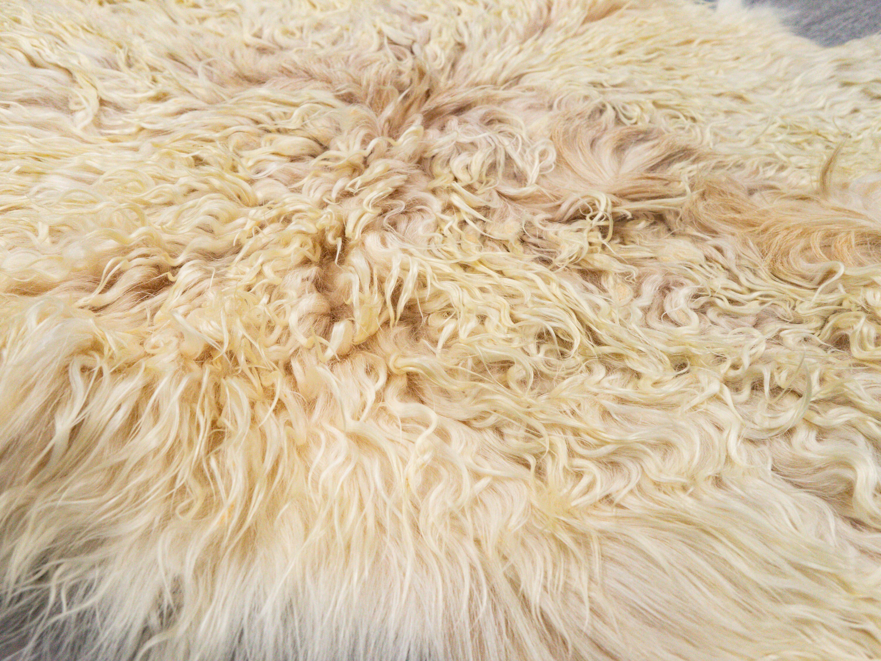 First Grade Angora Goatskin: Multi-color (66-A1XL-MC-G4970) - Etsy