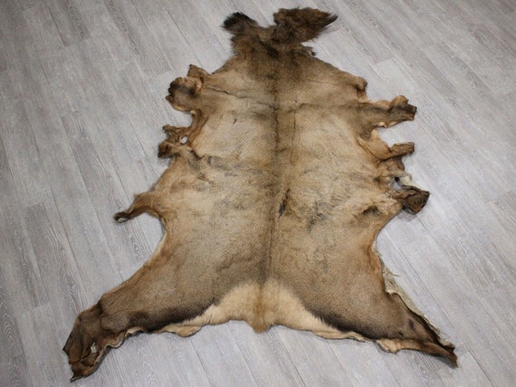 Tanned Elk Hide: Gallery (43-G3254) - Etsy display picture 1