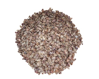 Coquina Shells: 0.375"-0.75" 1-KG bag (2.2 lbs) (2HS-3530K-KG)