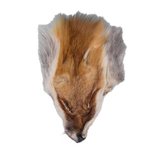 First Quality Red Fox Face (19-04-06-SEL) Y1J/Y2K/Y3K