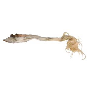 Tanned USA Softened & Oiled Cow Tail: Long Hair 5&quot;+ (18-35SU-L) Y1H