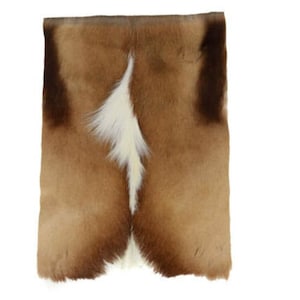 May include: A brown and white animal hide rug with a white patch in the center.