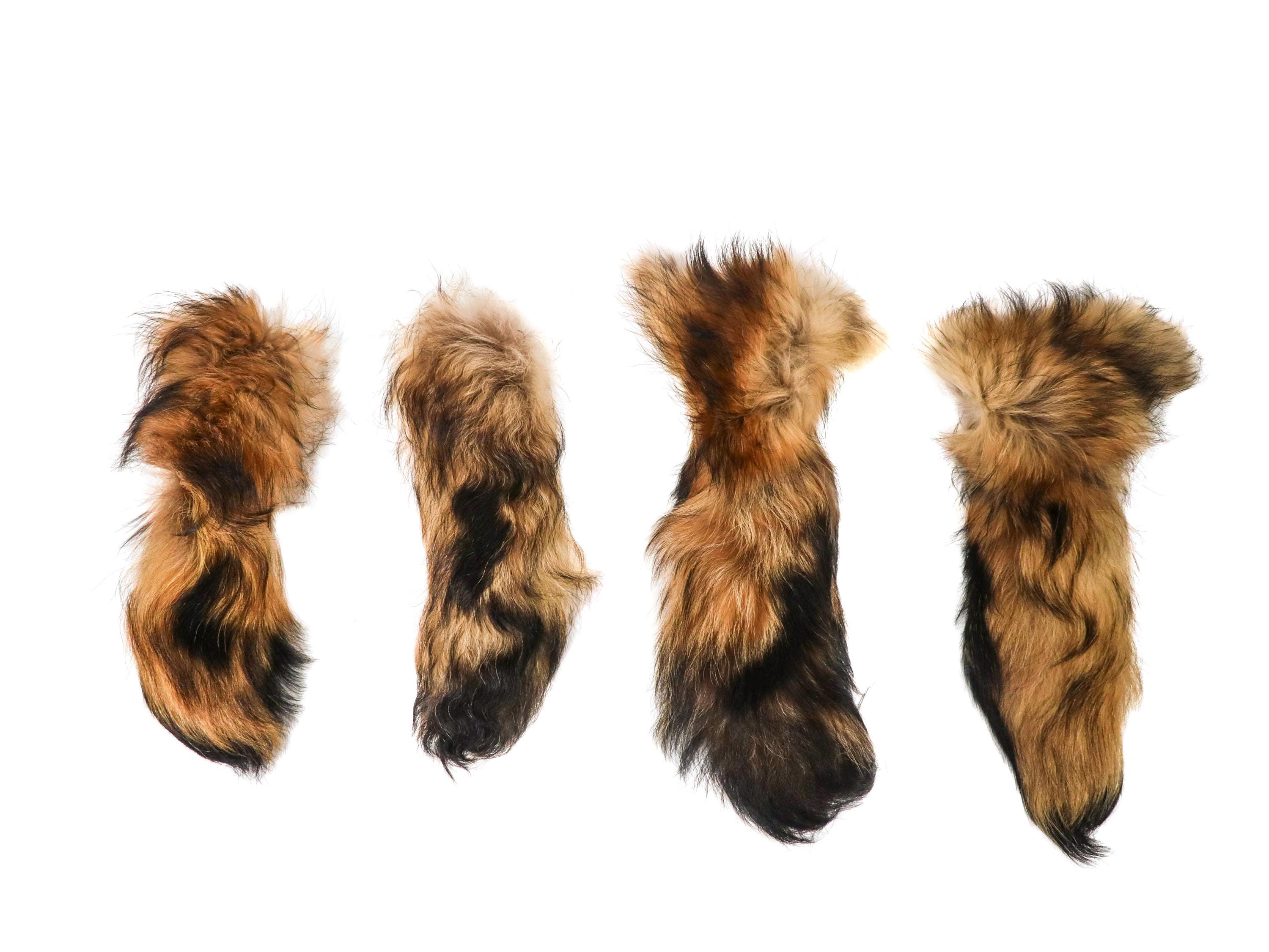 finland raccoon boa／　自然色　／GAKE日本製❣️ Chinese Raccoon Tail Tanuki Natural Color Russian Finn (18