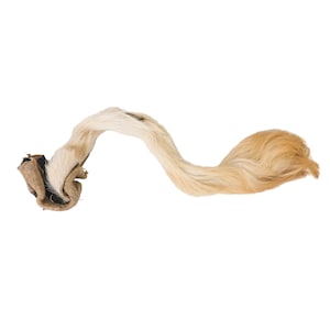 Short USA Bovine Cow Tail - Professionally Tanned, Soft and Flexible for Crafts (18-35TU-S) Y1H