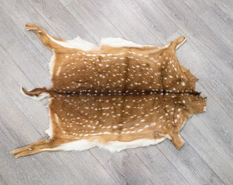 Axis Deer Hide: Medium (488-M-G6214)