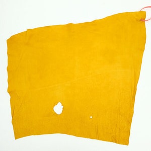 Deer Split Craft Leather Piece Prairie Gold: 2.1 sq feet (163-12-PG-G1136) L6