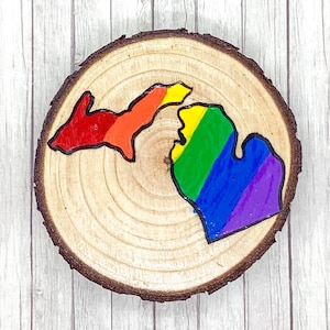 Gay Michigan Rainbow Magnet, LGBTQ Gifts, LGBTQIA Presents, Wood Slice Art, Kitchen Decoration, Fridge Decor, Hand Painted, Handmade MI