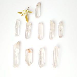 May include: A collection of ten clear quartz crystal points arranged in a symmetrical pattern on a white background. The crystals are various sizes and shapes, with some having a slight golden hue.