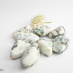 Tree agate stones, white with green patterns