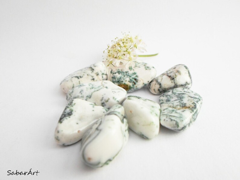 Tree agate stones, white with green patterns