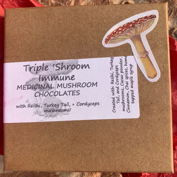 Mushroom Chocolate Etsy