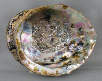 Large Abalone Shell 5-6" - Smudge Bowl, Large Abalone Shell, Positive Energy, Chakra Stones, Aura Clearing, Healing Crystals & Stones (T180)