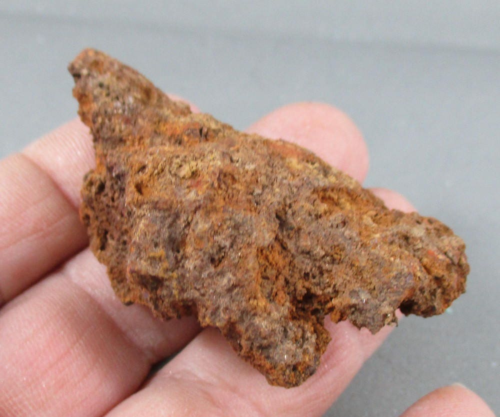 dino poop fossil