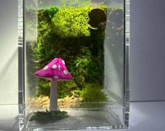 Jumping Spider Enclosure, Small Mystery Mushroom Sling Jumper Container Home With Random Color/Style Mushie, Moss, Acorn Hide, Made To Order