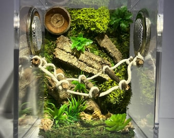 Jumping Spider Enclosure, Medium Suspension Bridge Oasis, Acorn Hide, Moss, Custom Jumper Container Home, Made To Order, Each One Differs