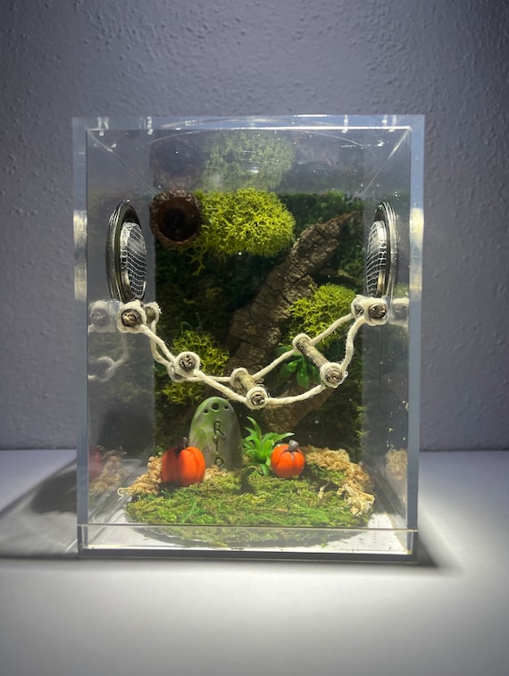 Jumping Spider Enclosure, Halloween Fall Jumper Container Home, Juvenile/Sub Adult Jumper Container, Bridge Optional (unique, made to order)