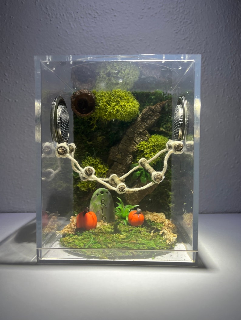Jumping Spider Enclosure, Halloween Fall Jumper Container Home, Juvenile/Sub Adult Jumper Container, Bridge Optional (unique, made to order) bild 1