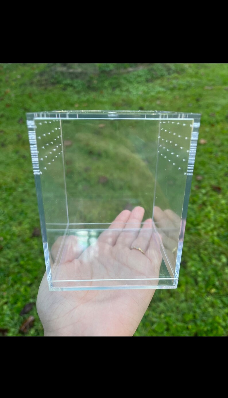 Medium Jumping Spider Enclosure, Habitat ContIner for Juvenile Jumper 