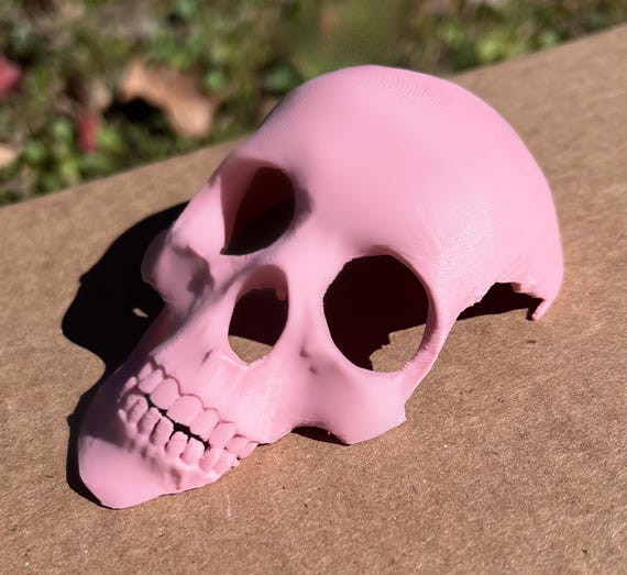 Skull Hide For Reptiles, Arachnids, Amphibians, Pets. Pink