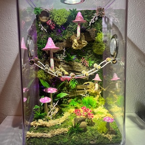 May include: A miniature fairy garden terrarium with pink and white mushrooms, green moss, and a small wooden bridge. The terrarium is lit by a small LED light.