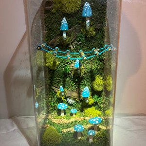 May include: A glass terrarium with a miniature forest scene. The scene features blue and white mushrooms, green moss, and a small wooden bridge.