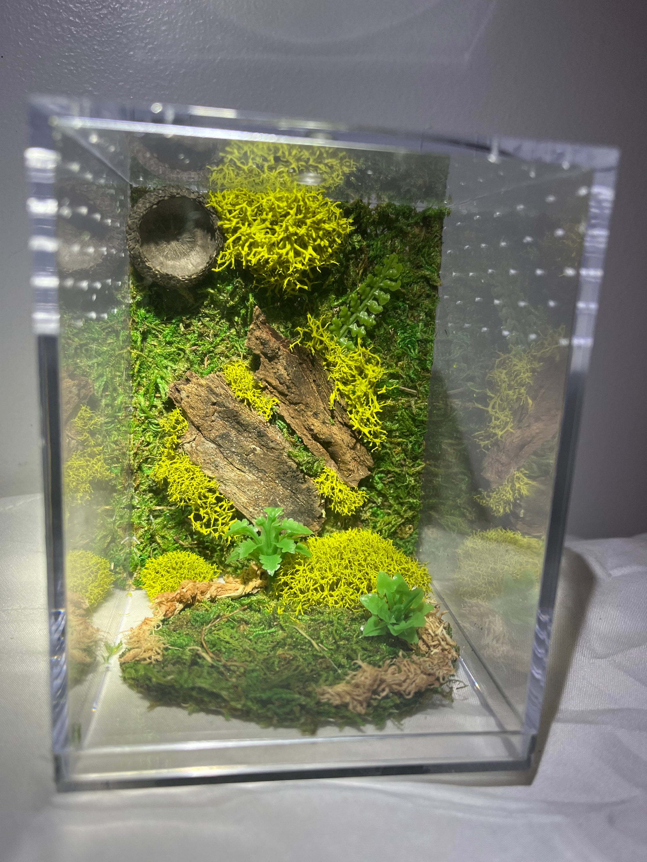 JILINWEI Tarantula Enclosure Accessories,Jumping Spider Praying Mantis Habitat Decor Climbing Moss Ribbon for Hide,Tarantula Pet Praying Mantis