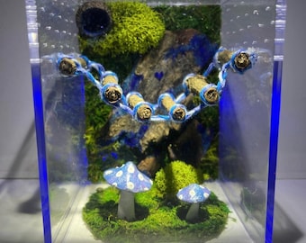 BACKLIT Jumping Spider Enclosure,  Magical Forest, You Choose Color, Custom Decorated Juvenile Jumper Container Home, Acorn Hide, Moss