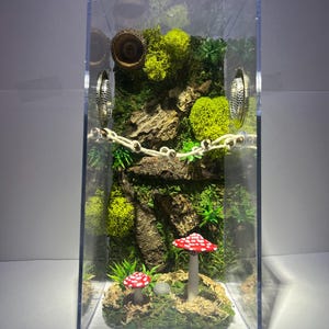 Amanita Mushroom Med/Tall Jumping Spider Enclosure, Acorn Hide, Moss, Plants, Custom Jumper Container Home, Made To Order, Each One Differs
