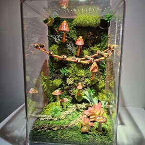 Large 6x6x9.5” Luxury Adult Jumping Spider Enclosure, Decorated Jumper Container Home, Moss, Bark, Acorn Hide, (Made Custom To Order)