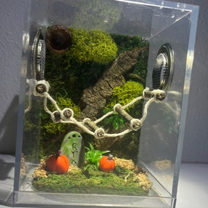 Jumping Spider Enclosure, Halloween Fall Jumper Container Home, Juvenile/Sub Adult Jumper Container, Bridge Optional (unique, made to order) bild 2