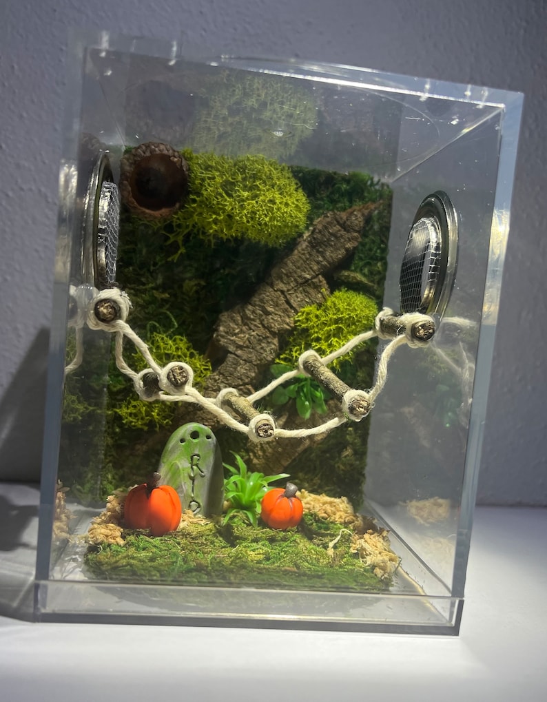 Jumping Spider Enclosure, Halloween Fall Jumper Container Home, Juvenile/Sub Adult Jumper Container, Bridge Optional (unique, made to order) bild 2