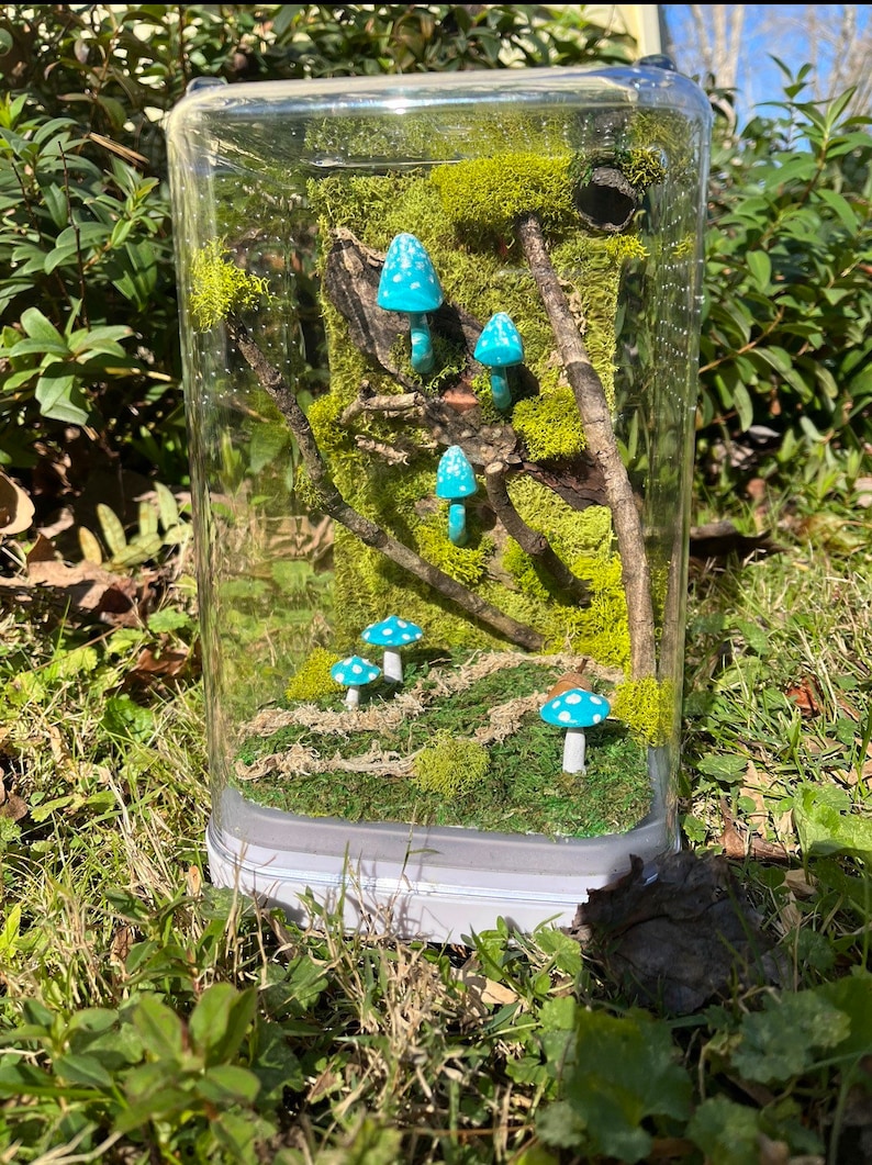 Large 6x6x9.5” Luxury Adult Jumping Spider Enclosure, Decorated Jumper ...