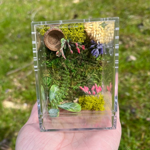 Spring Florals Small Jumping Spider Enclosure, Sling Jumper Container Home With Flowers, Moss, Acorn Hide, Custom Made To Order