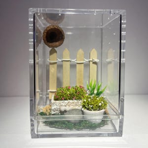 Jumping Spider Enclosure, Garden Sling Jumping Spider Container Home, Acorn Hide (Each Enclosure Differs Slightly, Made Custom To Order!)