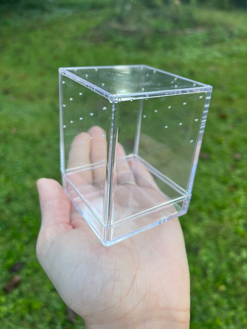 Small Jumping Spider Enclosure Habitat Container for Sling - Etsy