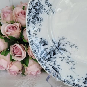 Antique Flow Blue Plate: Alfred Meakin &quot;Westmeath&quot; Floral Transferware