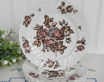 Johnson Brothers Devon Sprays Bread and Butter Plates Brown Multicolor Floral Transferware Plates