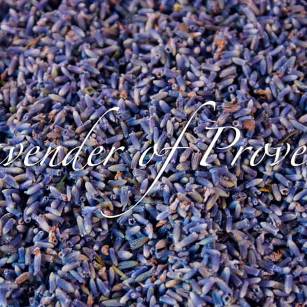 Bulk Organic French Lavender from Provence, France