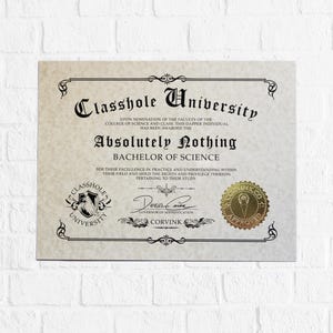Classhole Universität BS-Diplome - Der originale Fake-Abschluss - Lustiges Geschenk für Studenten oder Studienabbrecher