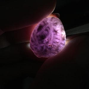 Clear Violet purple with black tendon pattern _Gobi Agate VP01