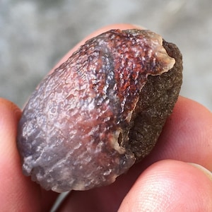 Dubbellaagse rode gobi-ogen agaat _ Gobi Agaat _ Gobi Stone _ A