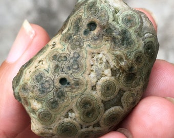 4cm Gobi Agate with green eyes _ Gobi Stone _ Gobi Eye Agate with crystal insided A