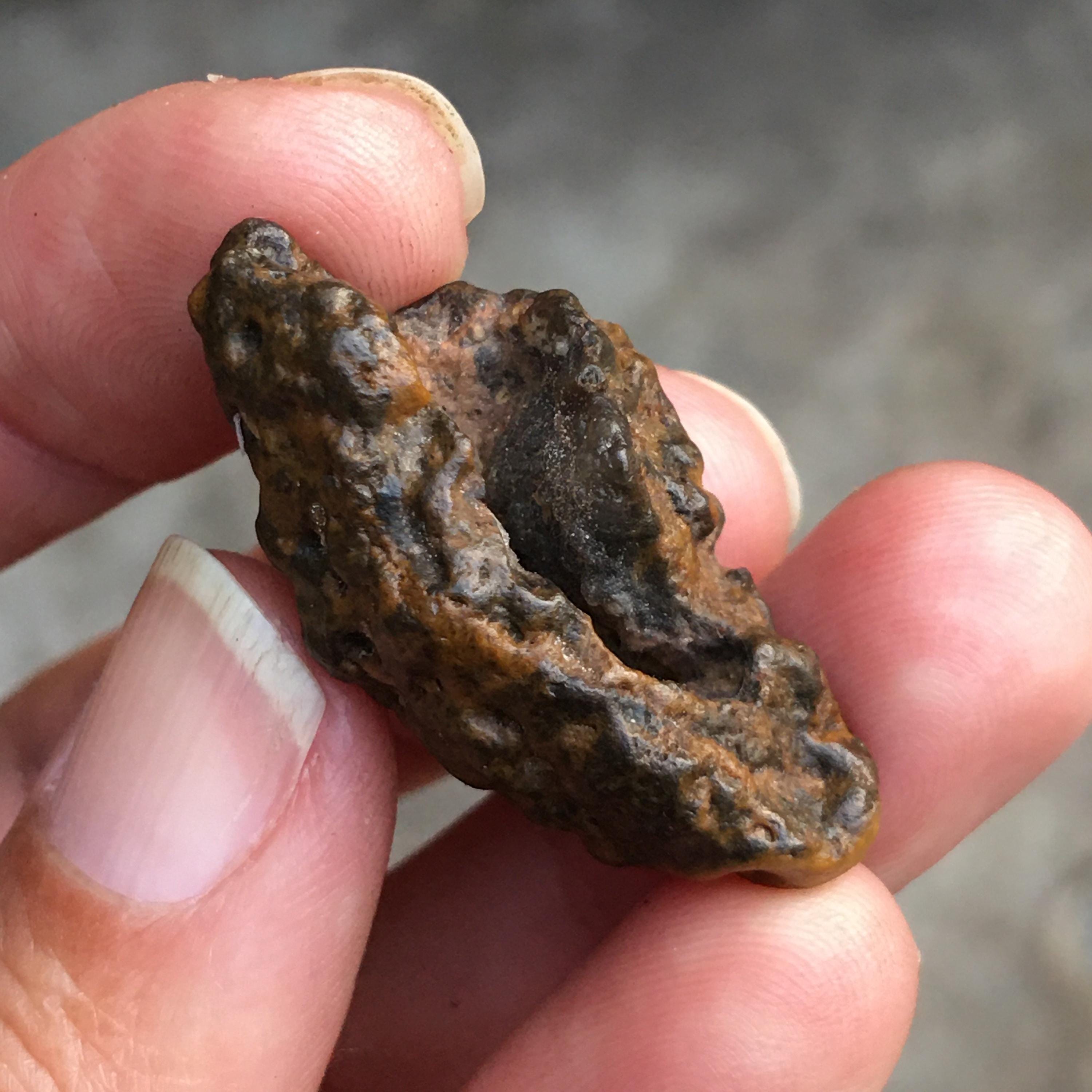 Big Mouth Gobi Mudstone_ Gobi Mudstone _ Gobi Desert Rough Stone AB - Etsy