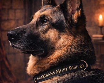 Collar para perros duradero / Collar cómodo para uso diario / Collar para mascotas de nailon resistente