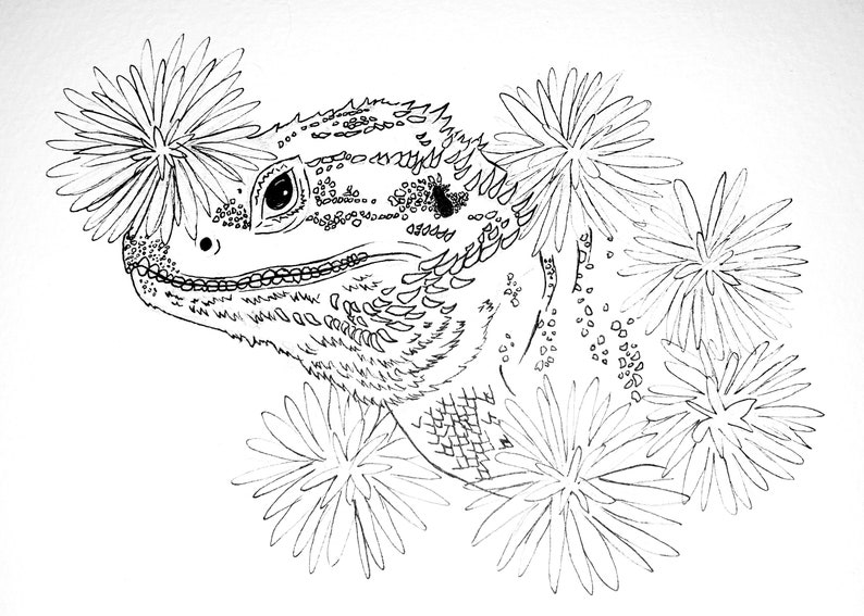 Beardie Colouring Page Bearded Dragon Etsy Beardie colouring page bearded dragon etsy