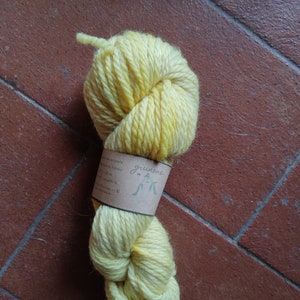 Merino Aran natuurlijke kleurstof, GIUNONE grof garen voor Ierse truien. Strengen van pure Italiaanse scheerwol voor brei en haakdekens afbeelding 4